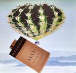 تستر اورجینال ادکلن بولگاری من اکستریم | Bvlgari Man Extreme