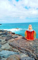 عطر دیور دان زنانه | Dior Dune for Women