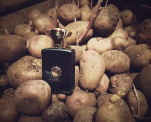 عطر آمواج فیگمنت مردانه | Amouage Figment Man