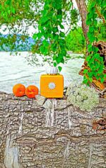 عطر آمواج سان شاین زنانه | Amouage Sunshine woman