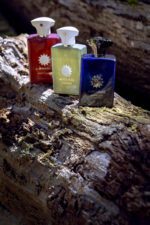 عطر آمواج باندلس مردانه | Amouage Boundless For Men