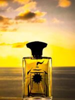 عطر آمواج بیچ هات مردانه | Amouage Beach Hut Man