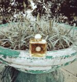 عطر آمواج بیلاود زنانه | Amouage Beloved Woman