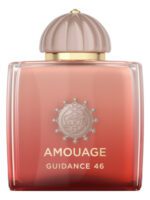 تستر عطر آمواج گایدنس 46 | Amouage Guidance 46 Tester
