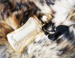 عطر مارلی دارسی | Parfums de Marly Darcy