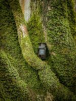 عطر تام فورد عود وود | Tom Ford Oud Wood 100ml