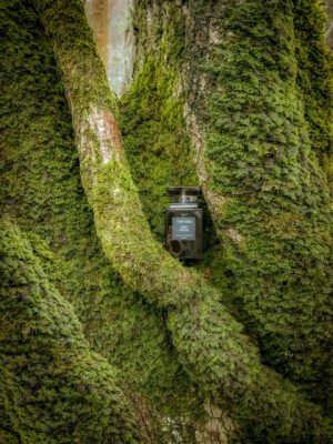 عطر تام فورد عود وود | Tom Ford Oud Wood 100ml