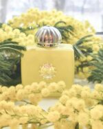 عطر آمواج لاو میموسا | Amouage Love Mimosa