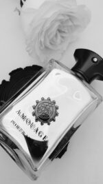 تستر اورجینال ادکلن آمواج پورترایال مردانه | Amouage Portrayal Man TESTER