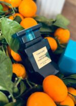 عطر تام فورد نرولی پورتوفینو | Tom Ford Neroli Portofino