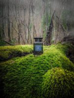 عطر تام فورد عود وود | Tom Ford Oud Wood 100ml