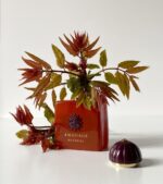 عطر آمواج متریال زنانه | Amouage Material