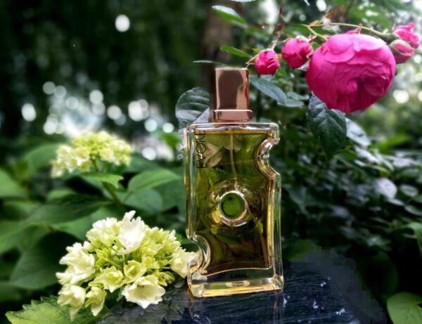 عطر اجمل اووک زنانه | Ajmal Evoke for Her