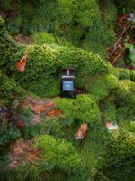 عطر تام فورد عود وود | Tom Ford Oud Wood 100ml