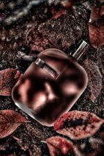 عطر آمواج اوپوس چهار | Amouage Opus IV