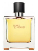 عطر هرمس تق هرمس پرفیوم | Hermes Terre d’Hermes Parfum 75 ml
