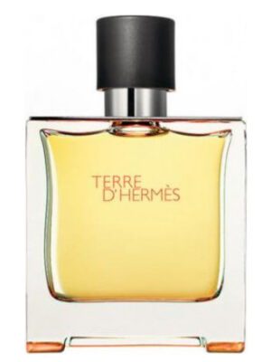 عطر هرمس تق هرمس پرفیوم | Hermes Terre d’Hermes Parfum 75 ml
