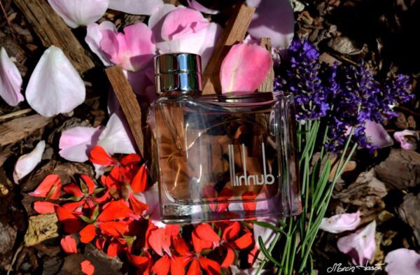 ادکلن دانهیل مردانه-دانهیل قهوه ای | Dunhill for men