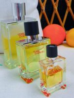 عطر هرمس تق هرمس | Hermes Terre d’Hermes 100 ml