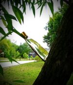 عطر رصاصی چستیتی زنانه | Rasasi Chastity Women