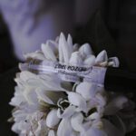 عطر هالووین بنفش زنانه (سری قدیم)| Halloween women