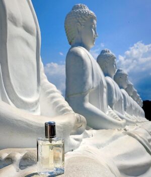 عطر هرمس اچ 24 | Hermès H24