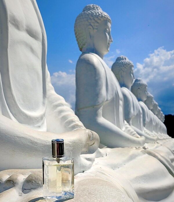 عطر هرمس اچ 24 | Hermès H24