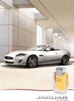 عطر جگوار اکسلنس | Jaguar Excellence