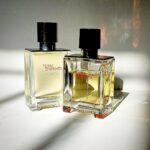 عطر هرمس تق هرمس | Hermes Terre d’Hermes 100 ml