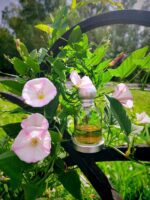 عطر هالووین بنفش زنانه (سری قدیم)| Halloween women