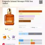 عطر جورجیو آرمانی استرانگر ویت یو آمبر | Giorgio Armani Emporio Armani Stronger With You Amber