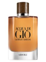 عطر جورجیو آرمانی آکوا دی جیو ابسولو | Giorgio Armani Acqua Di Gio Absolu