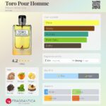 عطر الحمبرا تورو پور هوم (مشابه هرمس تق) | Alhambra Toro Pour Home