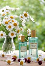 عطر گوچی ممویر دون اُدر | Gucci Mémoire d’une Odeur