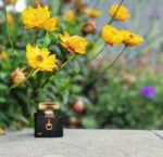 عطر گوچی بای گوچی زنانه | Gucci by Gucci EDP