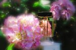 عطر گوچی پریمیر ادو پرفیوم | Gucci Premiere EDP