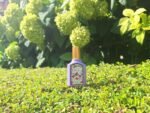 عطر گوچی گورجس مگنولیا | Gucci Flora Gorgeous Magnolia