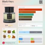 عطر آرماف بلک اونیکس سری اولیه| Armaf Black Onyx