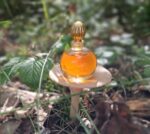 عطر لانوین آرپیج زنانه | Lanvin Arpege