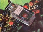 عطر لانوین جین | Lanvin Jeanne