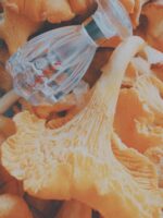 عطر لانوین مدرن پرینسس | Lanvin Modern Princess