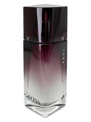 عطر هوگو بوس سول-Hugo Boss Soul