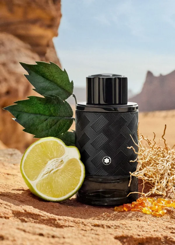 Mont Blanc Explorer