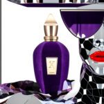 عطر زرجف اکسنتو-اچنتو-زرجوف اکنتو | Xerjoff Accento