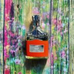 عطر کرید وایکنیگ کلون-کلوژن | Creed Viking Cologne