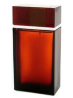 عطر ایو سن لورن ام7 | Yves Saint Laurent M7