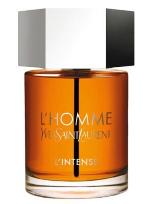 عطر ایو سن لورن ال هوم پرفیوم اینتنس | Yves Saint Laurent L’Homme Parfum Intense