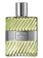 عطر دیور او ساواج ادو تویلت | Dior Eau Sauvage