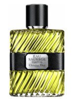 عطر دیور او ساواج پرفیوم 2017 | Dior Eau Sauvage Parfum 2017