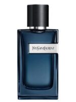 عطر ایفسن لوران وای ادوپرفیوم اینتنس | Yves Saint Laurent Y Eau de Parfum Intense